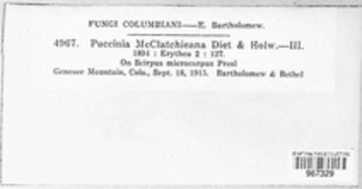Puccinia mcclatchieana image
